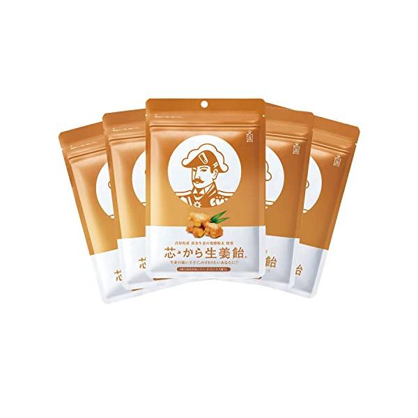 他サイト： 森下仁丹 芯・から生姜飴 (48g×5袋)  のど飴 しょうが飴 生姜粉末 生姜パウダー 高知県産 黄金生姜 ジンゲローの商品画像