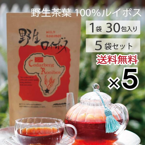 野生ロイボス」ルイボスティー 30包×5袋 ノンカフェイン 自生茶葉100