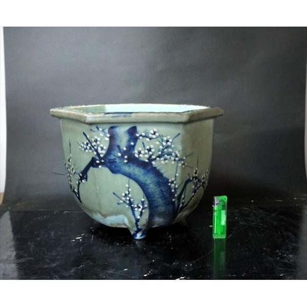 大正〜昭和期頃の瀬戸青磁　梅図外縁六角鉢です。時代も乗っていて、実用鉢に最適です。キズ、ニウも無くとてもよい状態です。サイズΦ300mm（角々340）×高さ230mm　小さなキズ、ホツ等の見落としがあるかもしれませんので、画像を確認ください。