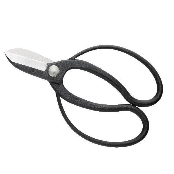 2086�{�E�p���×��ؓ����@/�@Professional flower scissors aogami Koryu type