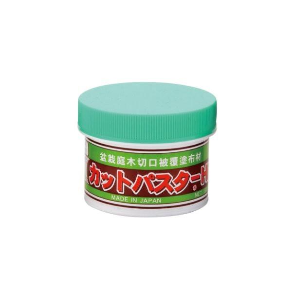 2610JbgpX^[Hi@Ep190g/ Cu paste conifers 190g/~͓