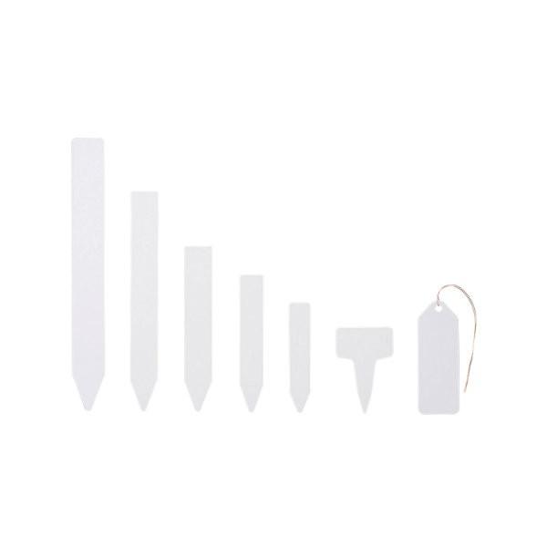 2661FGx@15i50)/FG label 15cm (50pcs)y|z