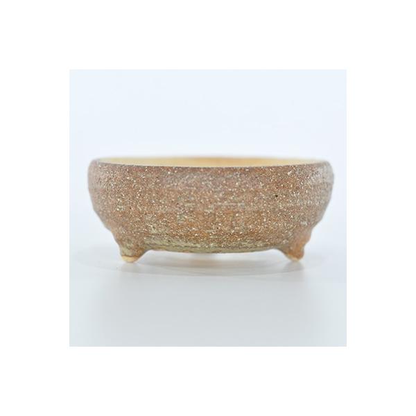 人気の信楽焼鉢がワンコインで!激安価格の信楽鉢です。盆栽はもちろん山野草や園芸と幅広くお使い頂けます。幅11cm×高さ4cm