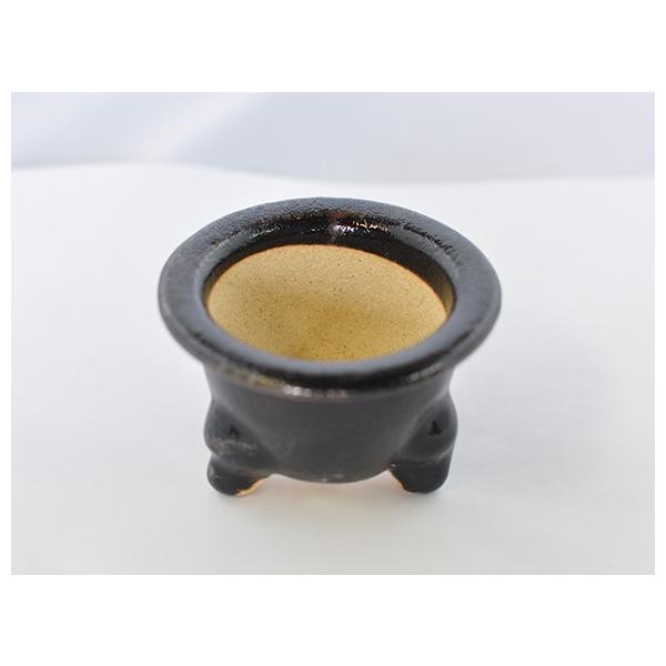 盆栽鉢 3号 楽風 富貴蘭鉢 鉢 陶器 : 盆栽妙 ヤフー店 - 通販 - Yahoo