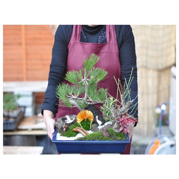 盆栽 モダン松竹梅の寄せ植え 6号サイズ 迎春の盆栽 新春 植物 豪華 縁起物 寄せ植え Buyee 日本代购平台 产品购物网站大全 Buyee一站式代购 Bot Online