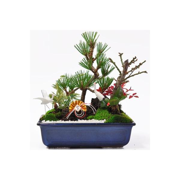 松竹梅の寄せ植え ちょうど良い大きさの7号サイズ お正月飾り Buyee Buyee Japanese Proxy Service Buy From Japan Bot Online