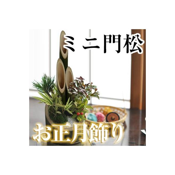 お正月飾り　竹の寄せ植え　門松お正月にぴったり門松の寄せ植えお正月に飾る縁起ものの寄せ植えを竹の器に入れて門松風に仕立てました。両手に収まるサイズなので置き場所も玄関からテーブルまでどこにでも飾れます。植え込んだ植物は縁起の良い黒松をバック...