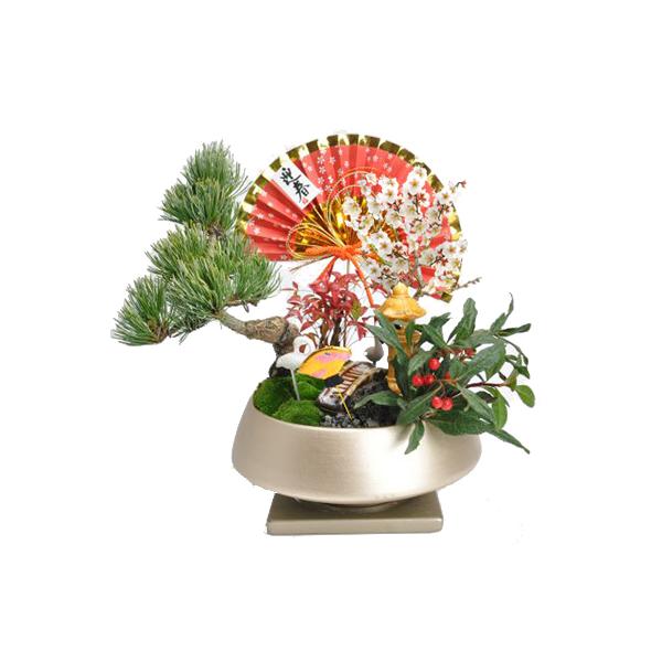 盆栽 モダン丸7号 松竹梅 お正月 福 縁起物 植物 五葉松 梅 ぼん