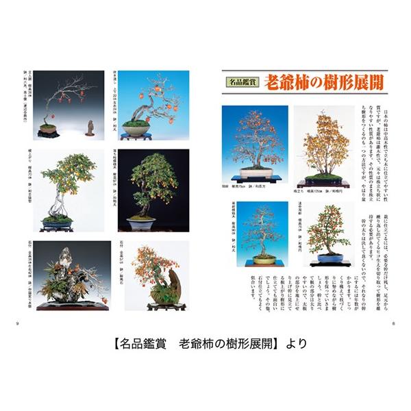 書籍盆栽老爺柿 きんずの育て方本ブック近代出版 Buyee 日本代购平台 产品购物网站大全 Buyee一站式代购bot Online