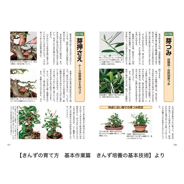 書籍盆栽老爺柿 きんずの育て方本ブック近代出版 Buyee Buyee 提供一站式最全面最專業現地yahoo Japan拍賣代bid代拍代購服務