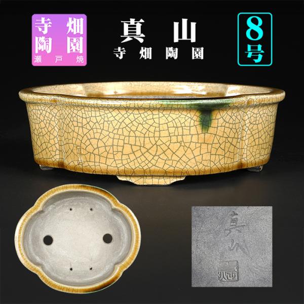 盆栽鉢 真山黄瀬戸釉木瓜式鉢 植木鉢 寺畑陶園 寺畑真山 まざん 瀬戸