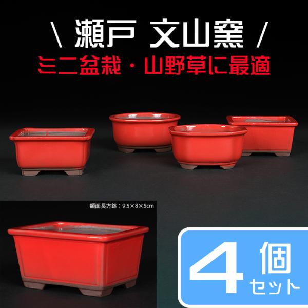 盆栽鉢 植木鉢 「瀬戸焼文山窯赤釉小鉢4点セット」 色鉢 3号 9cm
