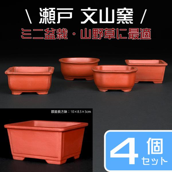盆栽鉢 植木鉢 瀬戸焼文山窯泥鉢4点セット 泥鉢 焼締 3号 10cm 朱泥 赤