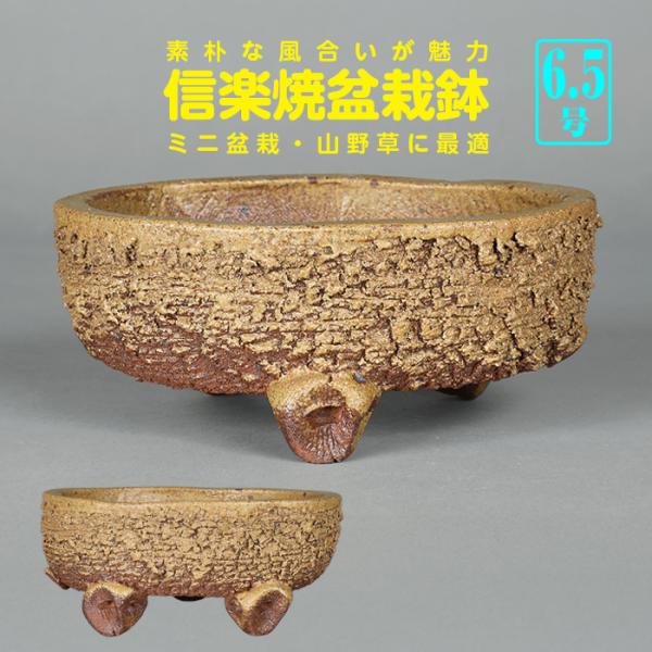 盆栽鉢 山野草鉢 信楽焼平造伊羅保釉楕円鉢 18cm 小品盆栽 ミニ盆栽 野草 草物 寄せ植えに最適