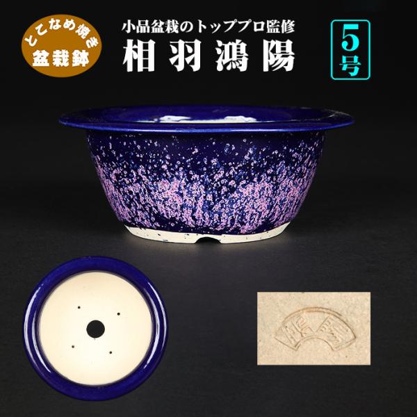 盆栽鉢 鴻陽瑠璃ピンク結晶釉丸鉢 色鉢 ネイビー ピンク 常滑 5