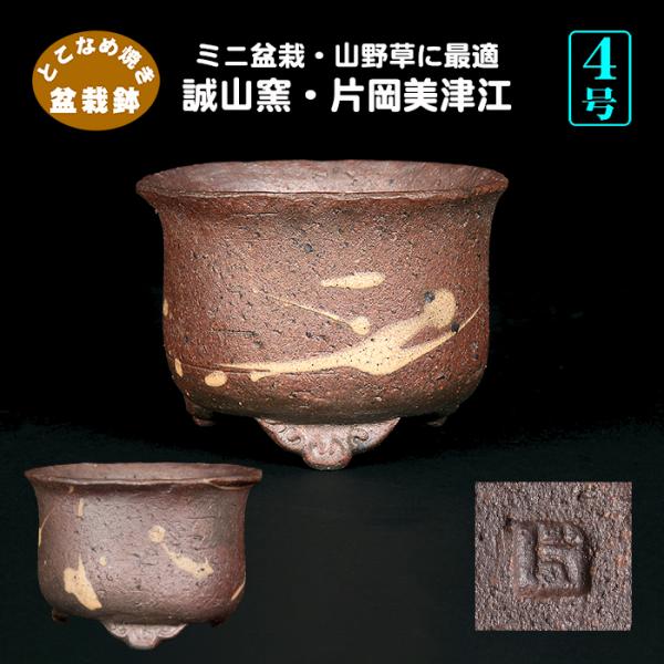 盆栽鉢 誠山窯 片岡美津江作 雲足丸鉢 山草鉢 4号 11cm 創作盆栽 山