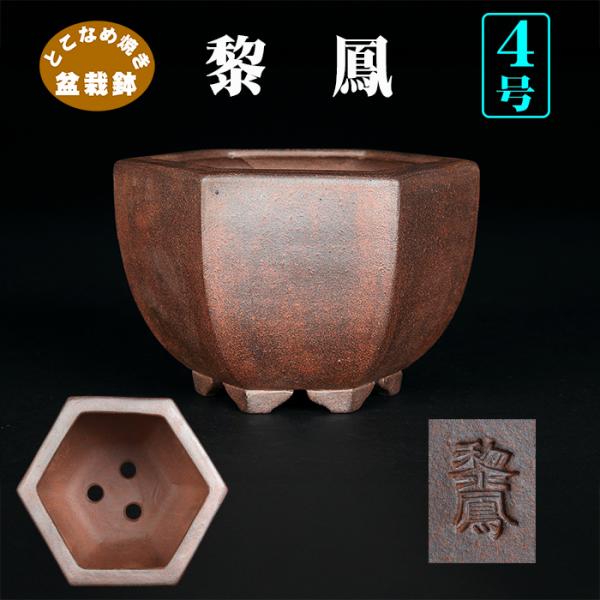 盆栽鉢 黎鳳六角鉢 植木鉢 常滑 片岡黎鳳 泥小鉢 4号 13cm 小品盆栽