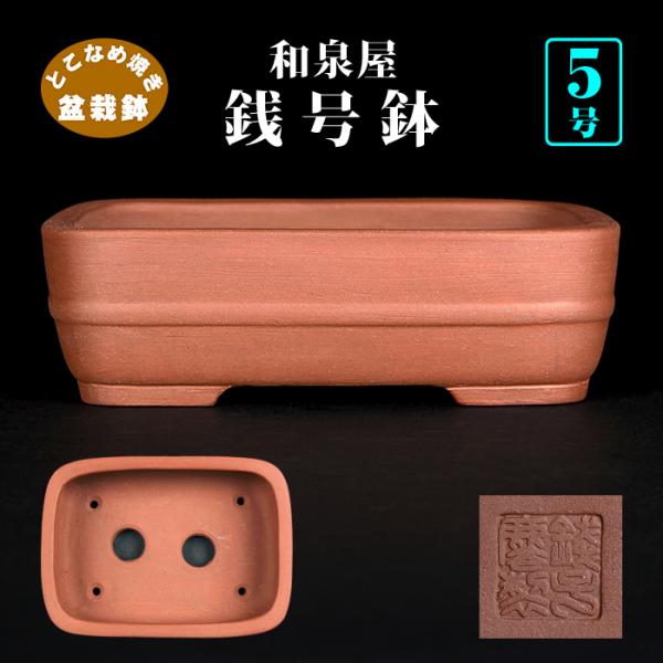 盆栽鉢/ 山源/ 常滑/ 長方/ 4点セット/ 寄せ植え/ 松盆栽/ 松柏/ 烏泥/ 多肉植物/ 山野草/ 花/ 雑木/ 盆栽/ 園芸/ ガーデニング C0EX0107 盆栽鉢 銭号外縁上下帯長方鉢 常滑 泥鉢 9号 26cm 紫泥 松柏盆栽 中品