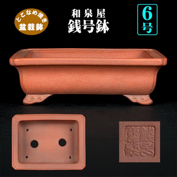 盆栽鉢 銭号外縁雲足長方鉢 植木鉢 常滑 泥鉢 6号 朱泥 小品盆栽 ミニ