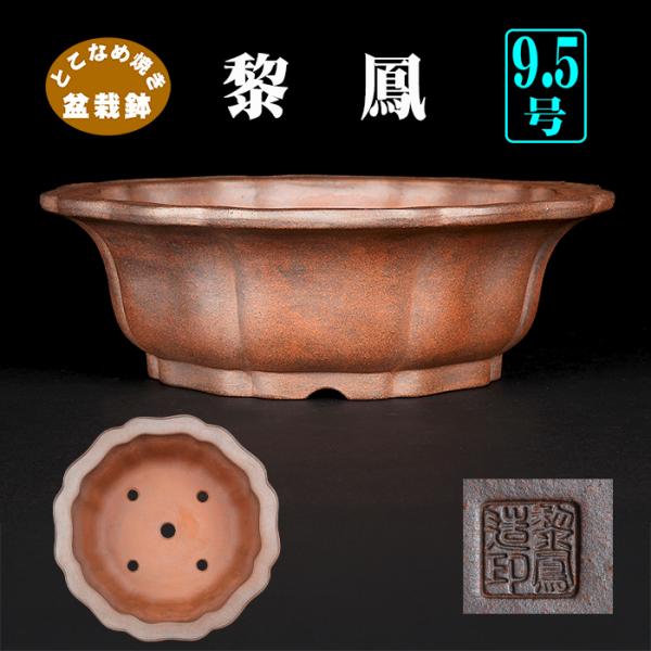 常滑焼 黎鳳 黒い陶器製盆栽鉢 盆栽用 【公式通販】