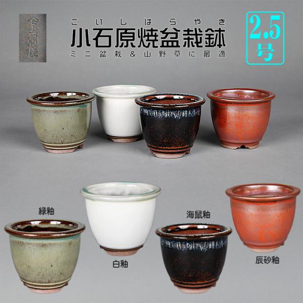 サイズ：口径8.5cm高7cm商品解説　伝統を受け継ぐ釉薬使いの面白さと発色の変化が美しい小石原焼。水捌けの良い胎土は培養面でも優れています。また薄手ながら堅焼されたボディは耐久性も抜群。これだけ高品質ながらリーズナブルな価格設定も魅力。ま...