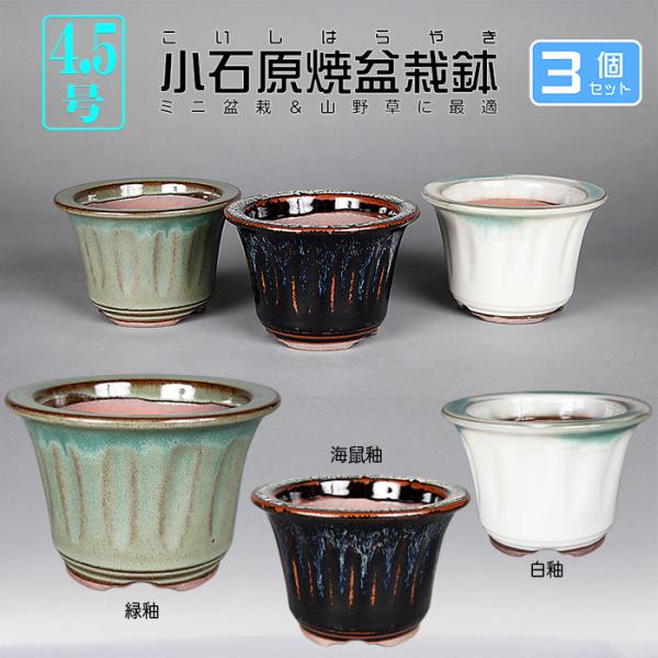 盆栽鉢 小石原焼色4.5号深外縁丸鉢3点セット 山草鉢 植木鉢 口径13cm