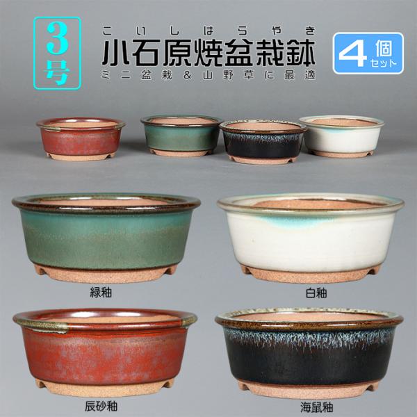 盆栽鉢 小石原焼3号外縁丸鉢4点セット 山草鉢 植木鉢 口径10cm 小品