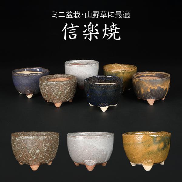 盆栽鉢 山野草鉢 「信楽焼楽風ミニ鉢6点セット」 植木鉢 陶器 3号 10cm