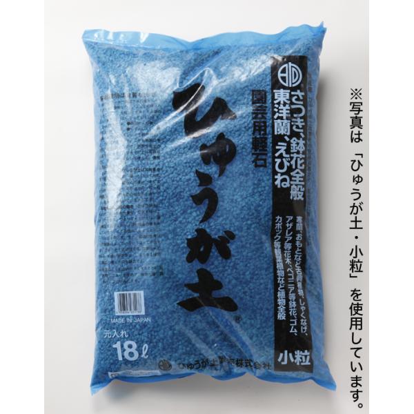 盆栽 山野草用土 日向土 「ひゅうが土」 18リットル 細粒 小粒 中粒 大粒（ゴロ土） 蘭 ラン オモト 野草 多肉植物の植え替えに