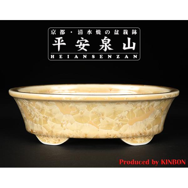 盆栽鉢 植木鉢 「平安泉山黄花結晶楕円鉢」 山草鉢 清水焼 京焼 磁器 6