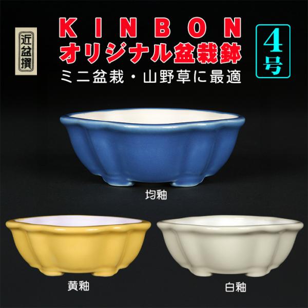 サイズ：左右11.5cm奥行10.5cm高4cm商品解説　KINBONが長年、中国で盆栽鉢を輸入・プロデュースしてきたノウハウを活かしてベトナムで開発した高品質な色小鉢。胎土には磁器を使用しており耐久性は折り紙付き。釉薬の美しさは中国鉢を凌...