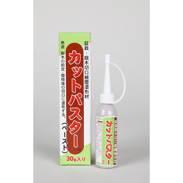 盆栽道具 「 カットパスターペースト 30g 」癒合剤 ゆごうざい 盆栽 小品盆栽 ミニ盆栽 剪定後の枝抜き痕のケアに