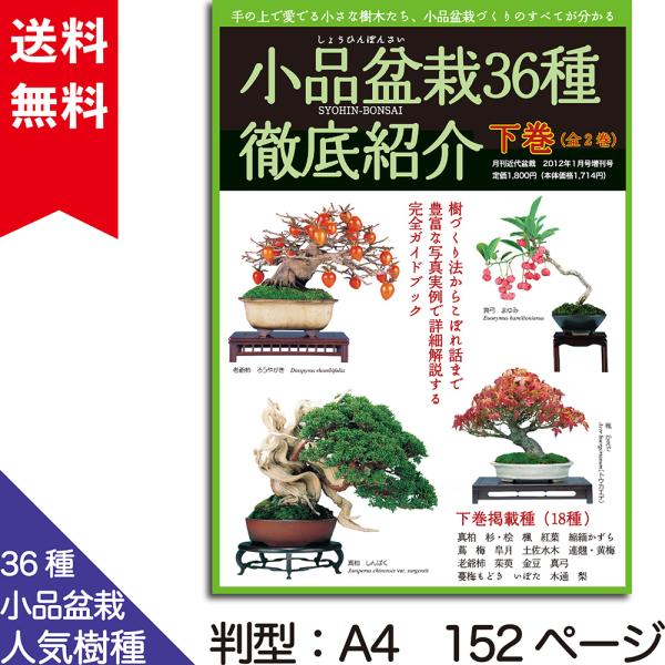 書籍 本 盆栽専門誌「小品盆栽36種徹底紹介（下巻）」ミニ盆栽 松柏
