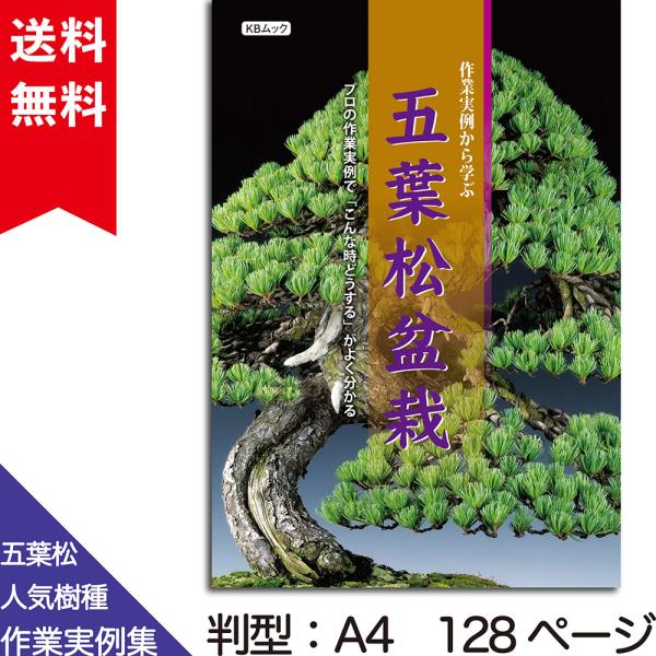 書籍 本 盆栽専門誌「作業実例から学ぶ 五葉松盆栽」 ゴヨウマツ 大物 小品盆栽 八ツ房 瑞祥 手入れ 育て方 切り方 曲げ方 水やり 消毒など作業がよく分かる