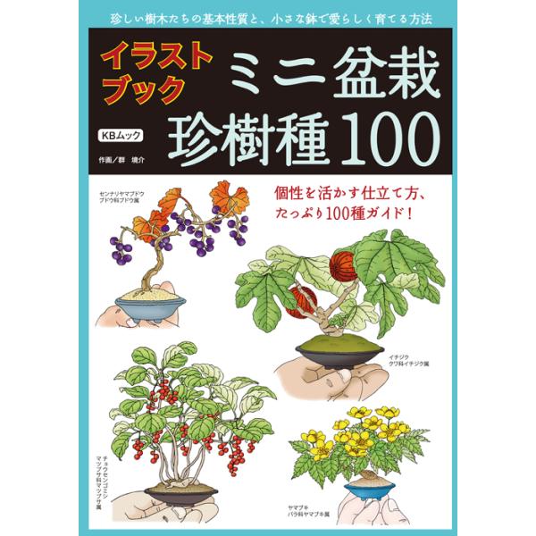 実用　盆栽大百科　松柏　雑木　まとめ売り　古書 実用 盆栽大百科 松柏 雑木 まとめ売り 古書 （2025年最新