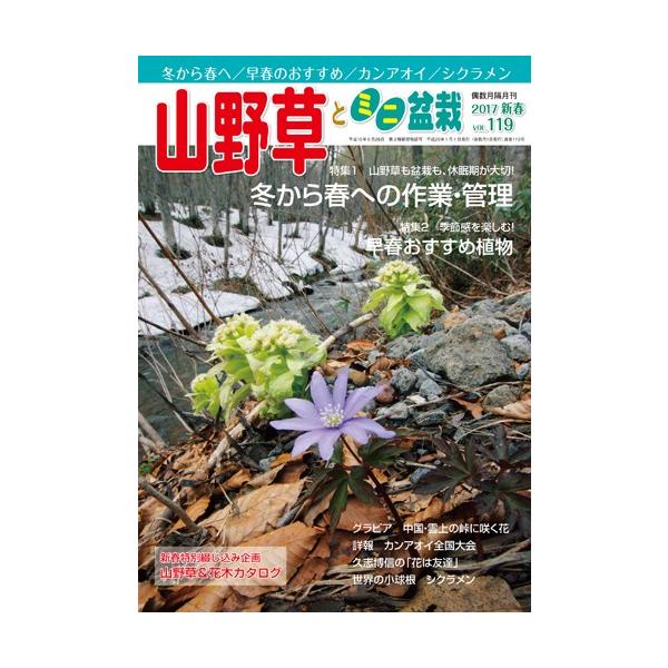 隔月刊「山野草とミニ盆栽」17年新春号