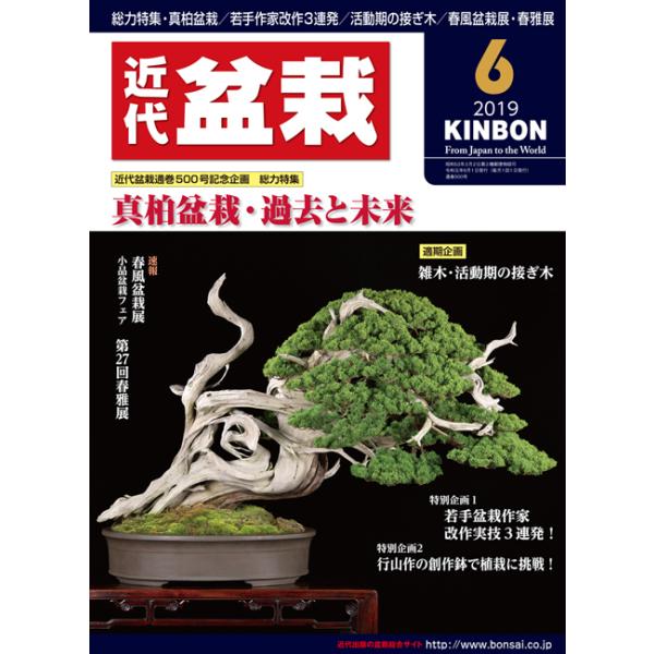 月刊「近代盆栽」2019年6月号