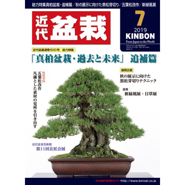 近代盆栽 みんな探してる人気モノ 近代盆栽