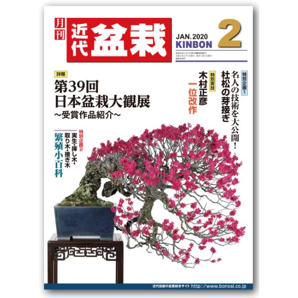 近代盆栽 みんな探してる人気モノ 近代盆栽