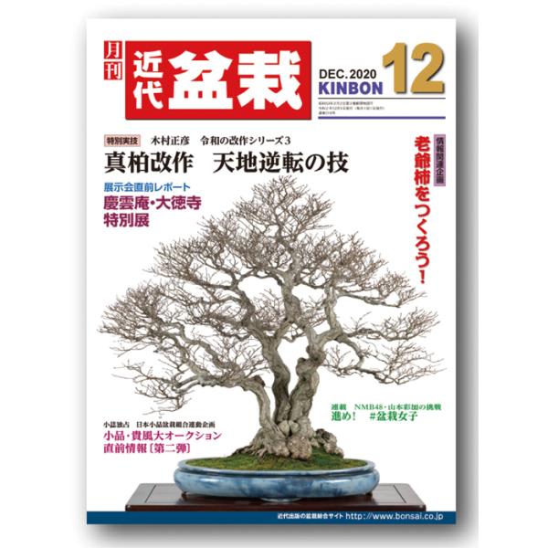 月刊「近代盆栽」2020年12月号 : 盆栽彩都ヤフー店 - 通販 - Yahoo