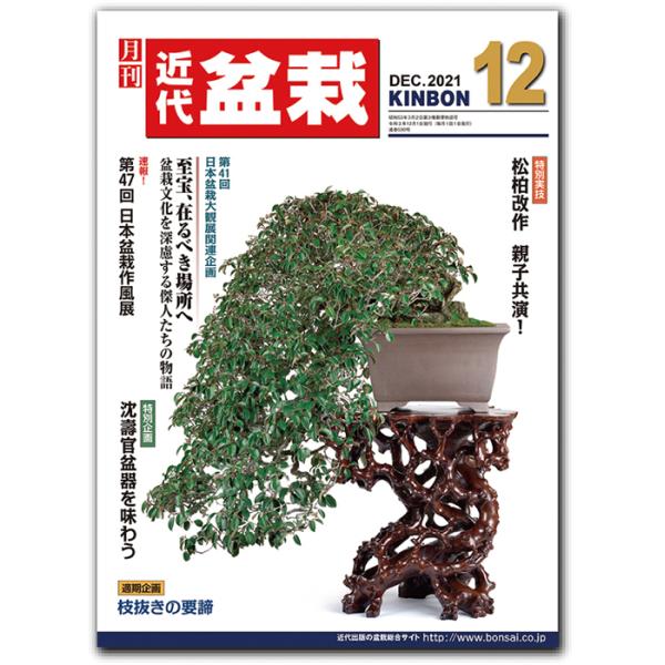 月刊「近代盆栽」2021年12 月号