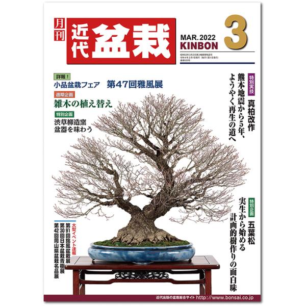 月刊「近代盆栽」2022年3 月号