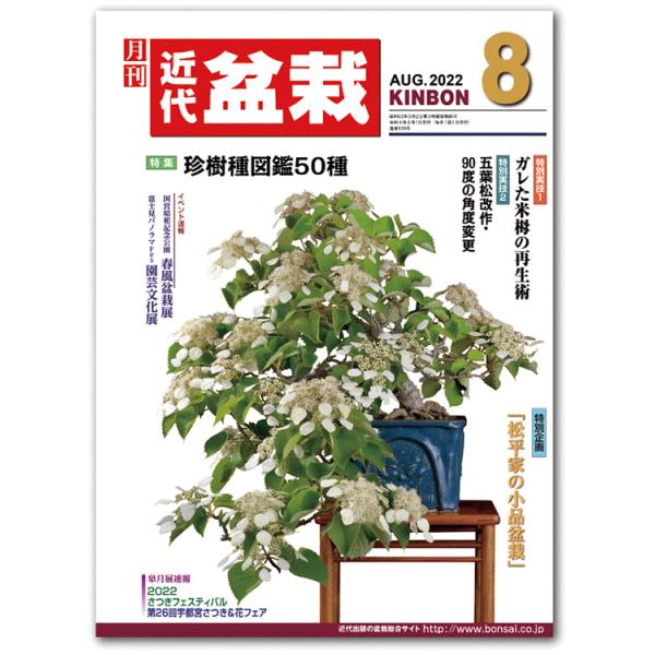 月刊「近代盆栽」2022年8月号　初心者からベテラン愛好家まで、見やすく内容充実の盆栽総合誌!! 盆栽 近盆 kinbon bonsai 月刊誌 趣味の雑誌 送料無料