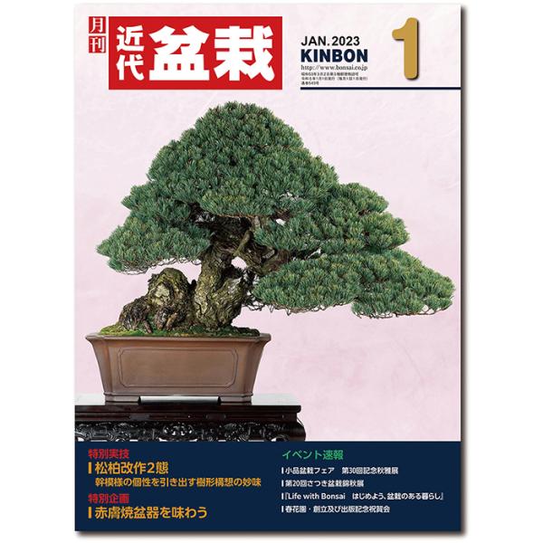 月刊「近代盆栽」2023年１月号　初心者からベテラン愛好家まで、見やすく内容充実の盆栽総合誌!! 盆栽 近盆 kinbon bonsai 月刊誌 趣味の雑誌 送料無料