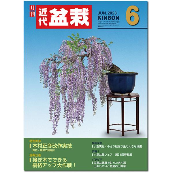 月刊「近代盆栽」2023年６月号　初心者からベテラン愛好家まで、見やすく内容充実の盆栽総合誌!! 盆栽 近盆 kinbon bonsai 月刊誌 趣味の雑誌 送料無料