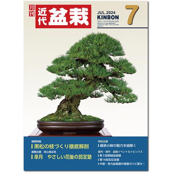 月刊「近代盆栽」2024年7月号　初心者からベテラン愛好家まで、見やすく内容充実の盆栽総合誌!! 盆栽 近盆 kinbon bonsai 月刊誌 趣味の雑誌 送料無料