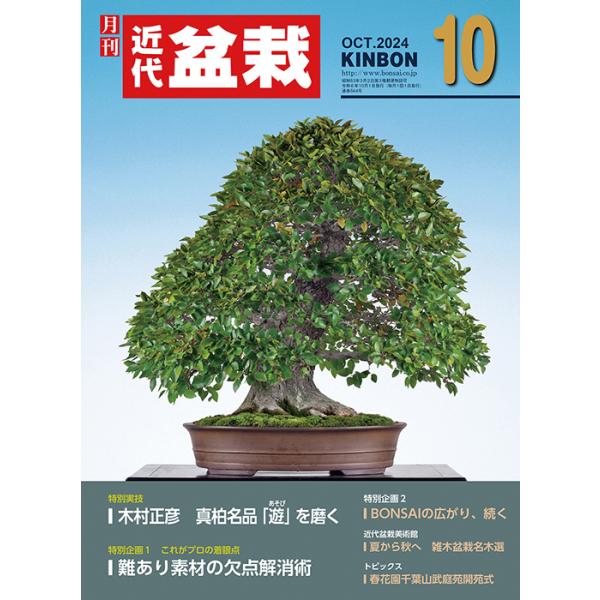 月刊「近代盆栽」2024年10月号　初心者からベテラン愛好家まで、見やすく内容充実の盆栽総合誌!! 盆栽 近盆 kinbon bonsai 月刊誌 趣味の雑誌 送料無料