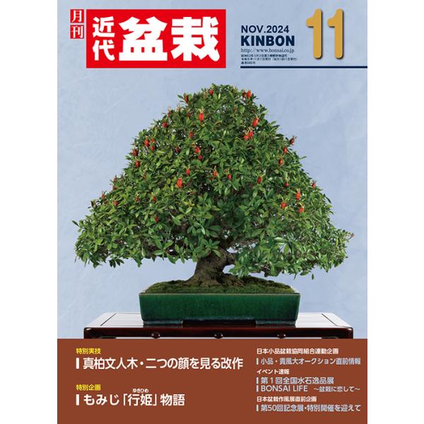 月刊「近代盆栽」2024年11月号　初心者からベテラン愛好家まで、見やすく内容充実の盆栽総合誌!! 盆栽 近盆 kinbon bonsai 月刊誌 趣味の雑誌 送料無料