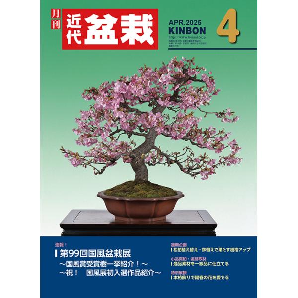 月刊「近代盆栽」2025年4月号　初心者からベテラン愛好家まで、見やすく内容充実の盆栽総合誌!! 盆栽 近盆 kinbon bonsai 月刊誌 趣味の雑誌 送料無料