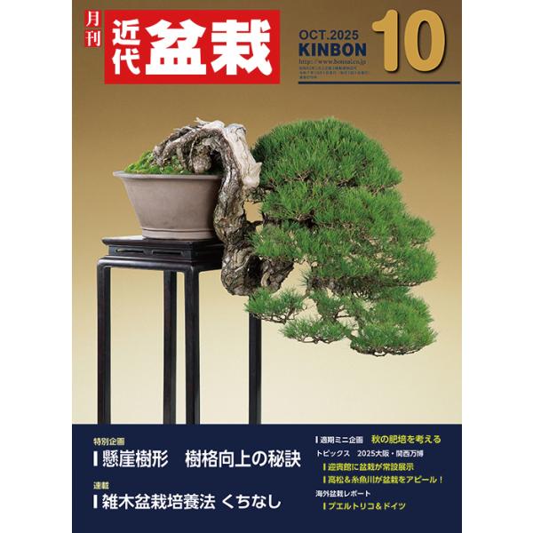 月刊「近代盆栽」2025年10月号　初心者からベテラン愛好家まで、見やすく内容充実の盆栽総合誌!! 盆栽 近盆 kinbon bonsai 月刊誌 趣味の雑誌 送料無料
